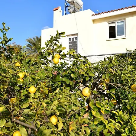 The Citrus *