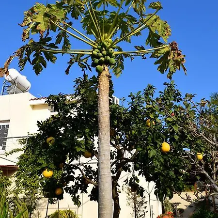 The Citrus Holiday home *